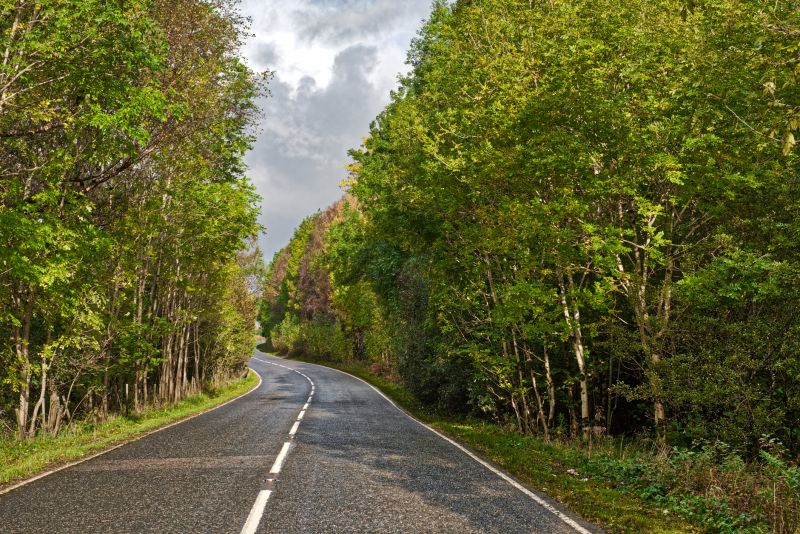 Chip Seal Paving And Driveway Services